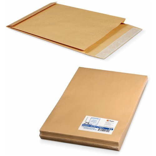 Конверт-пакеты В4 объемный (250х353х40 мм), до 300 листов, крафт-бумага, отрывная полоса, комплект 25 шт, 391157.25