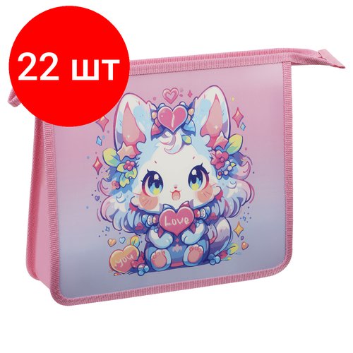 Комплект 22 шт, Папка для тетрадей 2 отделения, А5, ArtSpace 'Kawai Cat', пластик, на молнии