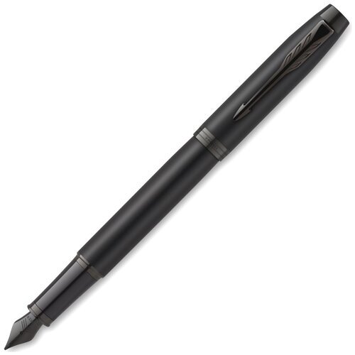 PARKER ручка перьевая IM Achromatic F, 2127741