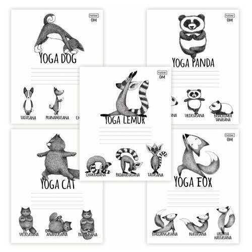 Тетрадь 24 л. HATBER клетка обложка картон 'Animals Yoga' (5 видов), 36 шт