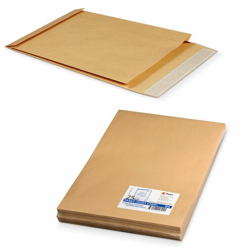 Конверт-пакеты В4 объемный (250х353х40 мм), до 300 листов, крафт-бумага, отрывная полоса, комплект 25 шт, 391157.25