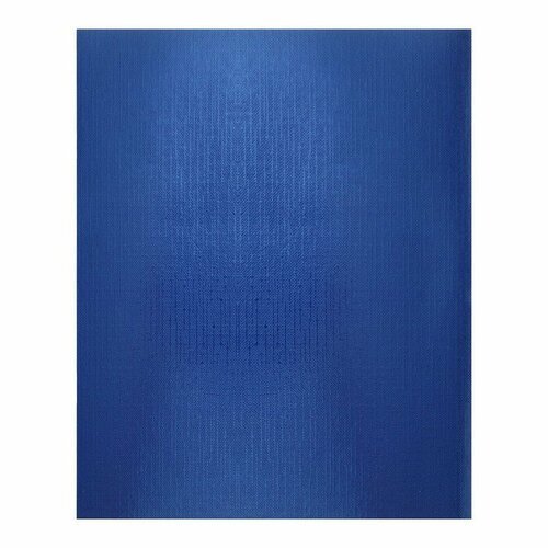 Тетрадь Hatber 'Metallic', 48 листов, в клетку, обложка бумвинил, блок офсет, синяя