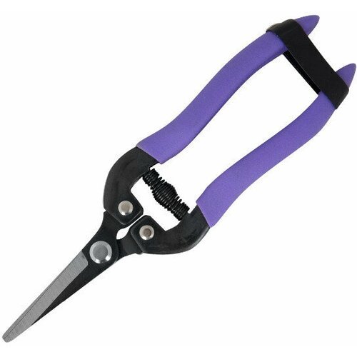 Ножницы универсальные из нержавеющей стали, цвет фиолетовый, незаменимый инструмент для флористов и садоводов.