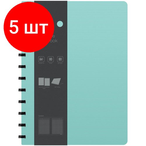 Комплект 5 шт, Бизнес-тетрадь А4+, 80л, Berlingo 'Instinct', клетка, на кольцах, с возм. зам. блока, 80г/м2, пластик. (полифом) обл, линейка-закладка, мятный/черный