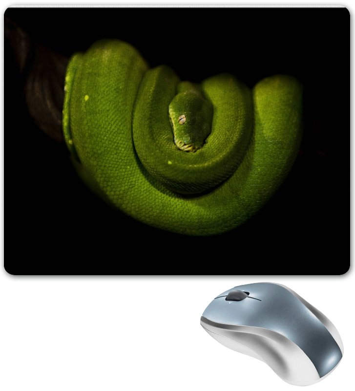 Printio Коврик для мышки Зеленая древесная змея
