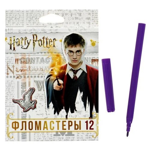 Hatber Набор фломастер 'Гарри Поттер', 63221, разноцветный, 2 шт.