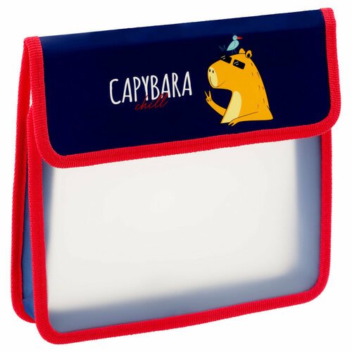 Папка для тетрадей 1 отделение, ArtSpace 'Capybara', А5, пластик, на липучке, 365776