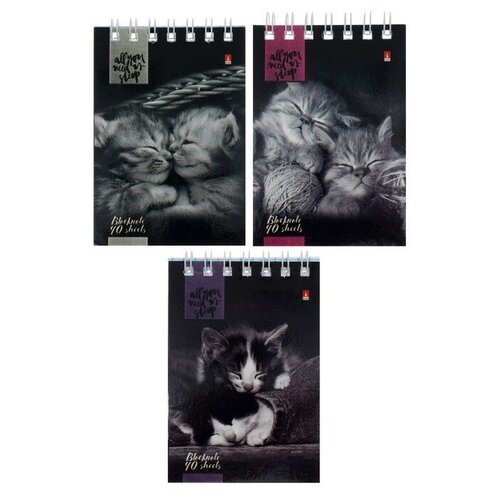 Блокнот А7, 40 листов на гребне 'Кошачий Взгляд', обложка мелованный картон, микс