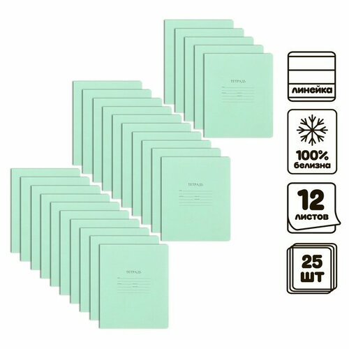 Комплект тетрадей из 25 штук, 12 листов в линию КФОБ 'Зелёная обложка', с алфавитом, 60 г/м2, блок офсет, белизна 100%