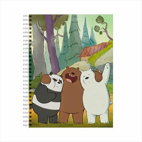 Тетрадь Вся правда о медведях/ We Bare Bears №17, А6