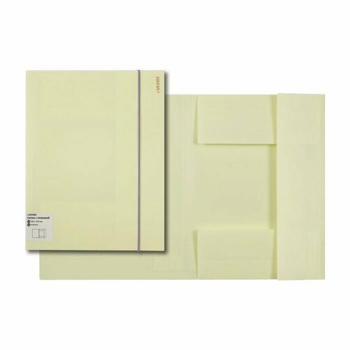 Папка на резинке А4 35мм пластик 0,45мм желтый deVENTE Pastel арт.3070800. Количество в наборе 4 шт.