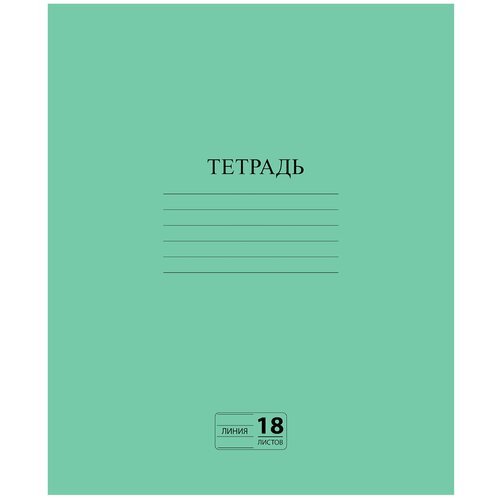 Тетрадь зелёная обложка 18 л, линия с полями, офсет №2 эконом, 'пифагор', 104987 Комплект - 160 шт.