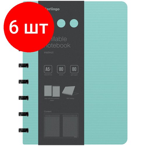 Комплект 6 шт, Бизнес-тетрадь А5+, 80л, Berlingo 'Instinct', клетка, на кольцах, с возм. зам. блока, 80г/м2, пластик. (полифом) обл, линейка-заклад, мятный/чер.