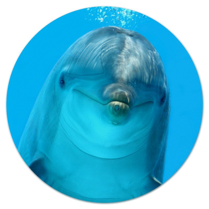 Printio Коврик для мышки (круглый) Дельфин