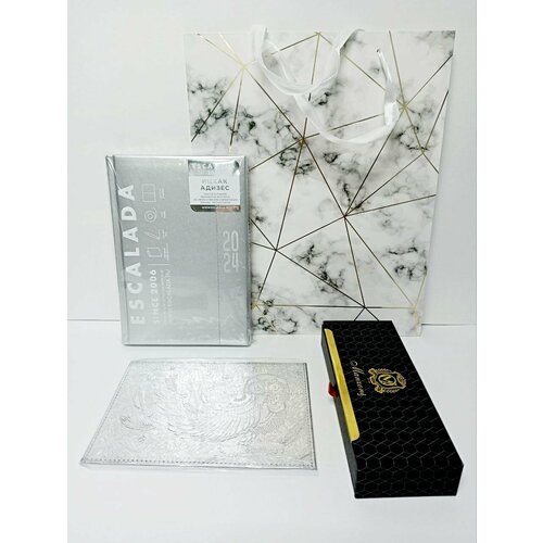 Подарочный канцелярский набор Escalada 'Плонже' серебряный метталлик, 4 предмета