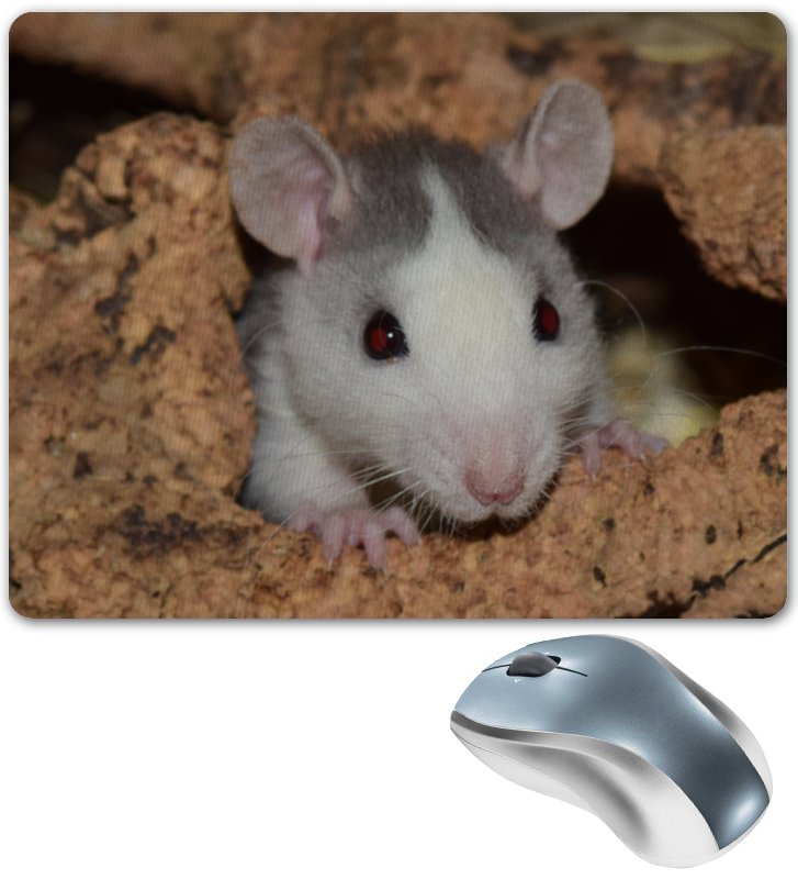 Printio Коврик для мышки Крыса символ 2020 года