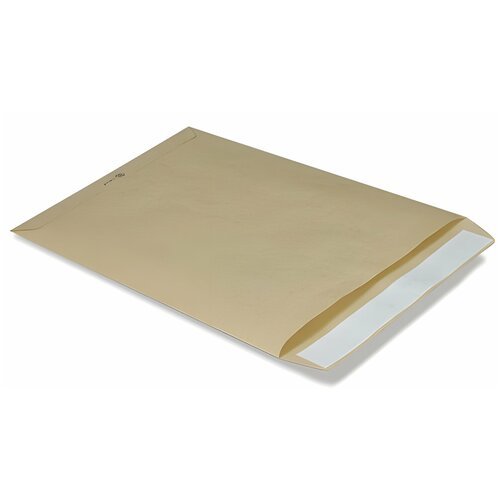 Конверт-пакет В4 плоский (250х353 мм) до 140 листов, крафт-бумага, отрывная полоса, 380090, 250 шт.