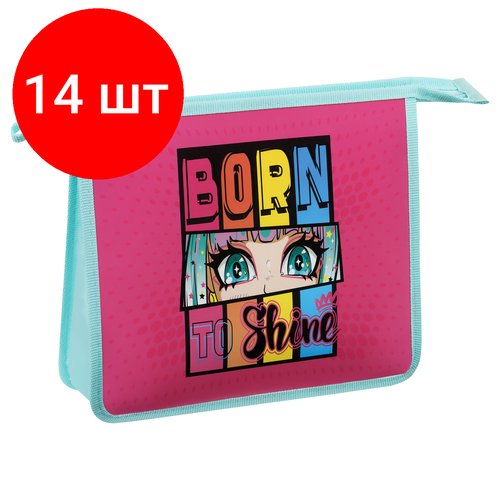 Комплект 14 шт, Папка для тетрадей 1 отделение, А4, ArtSpace 'Born to shine', пластик, на молнии