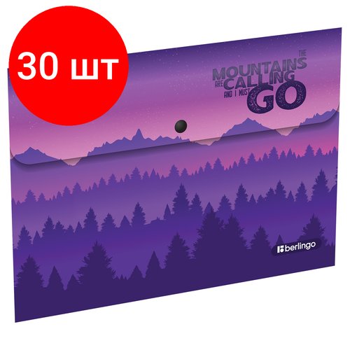 Комплект 30 шт, Папка-конверт на кнопке Berlingo 'Scenic' A4, 330мкм, с рисунком