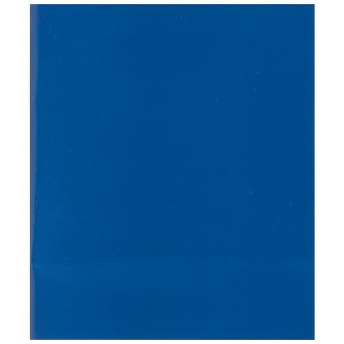 Тетрадь общая 48л, А5 (клетка, скрепка, бумвинил, обложка синяя), 50шт.