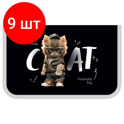 Комплект 9 шт, Пенал 1 отделение, 200*130 ArtSpace 'Cat', две откидные секции, ткань