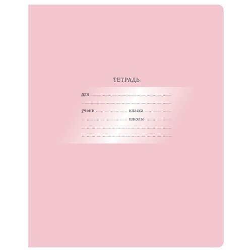 BG Комплект тетрадей Первоклассная Т5ск12 10575 / 10576, 16 штук, линейка, 12 л., 16 шт., светло-розовый