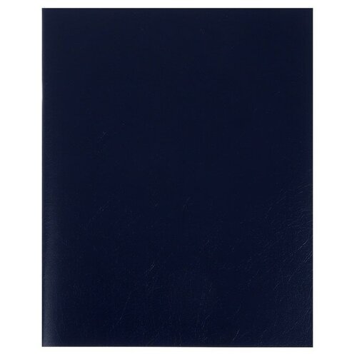 Тетрадь 96 листов в линейку 'Синяя', обложка бумвинил, блок офсет