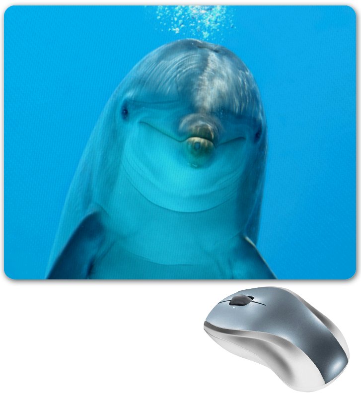 Printio Коврик для мышки Дельфин