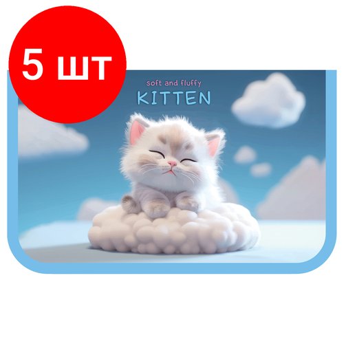 Комплект 5 шт, Пенал 1 отделение, 200*130 ArtSpace 'Kitten', две откидные секции, ткань