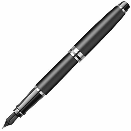 Ручка перьевая Waterman Expert 3 Essential, Matte Black CT (Перо M)