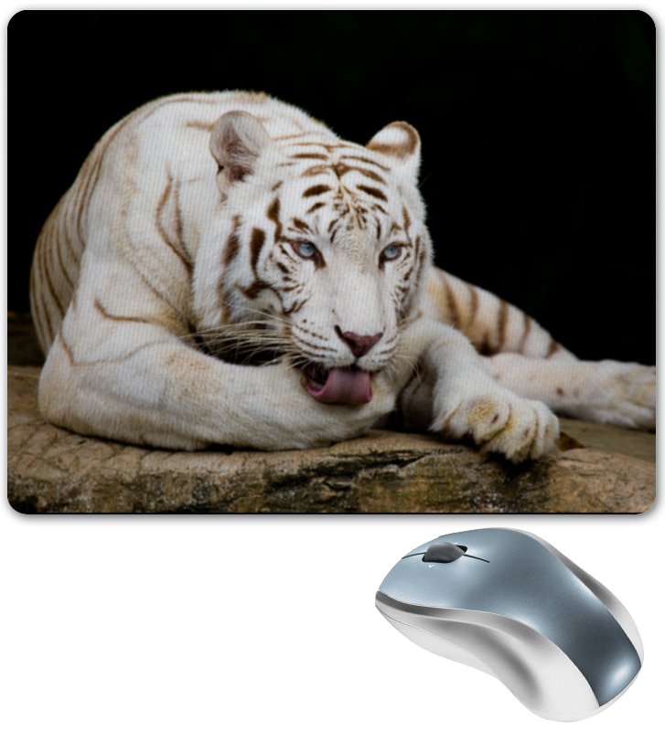Printio Коврик для мышки Белый тигр