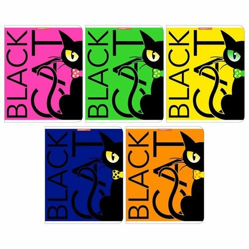 Тетрадь 48 листов в клетку 'Черный кот', обложка мелованный картон, флуоресцентные краски, микс (комплект из 21 шт)