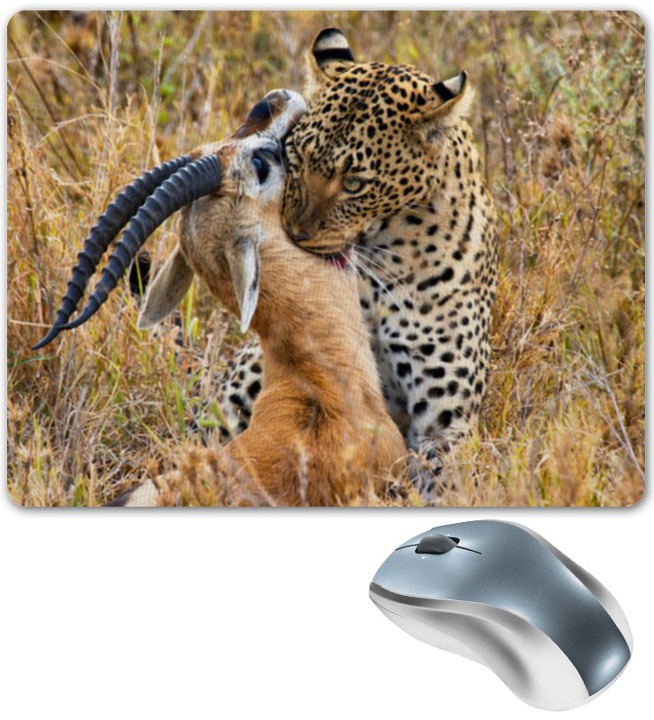 Printio Коврик для мышки Леопард