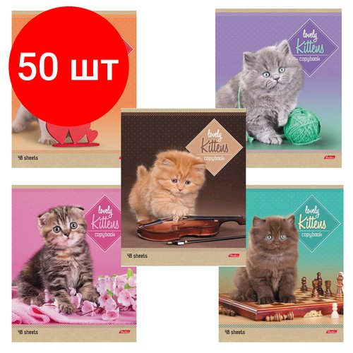 Комплект 50 шт, Тетрадь А5, 48 л, HATBER, скоба, линия, обложка картон, 'котята' (5 видов в спайке), 48Т5В2, T242407