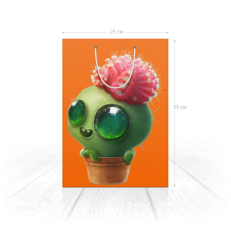 Printio Пакет 25x35x8 cм Funny cactus