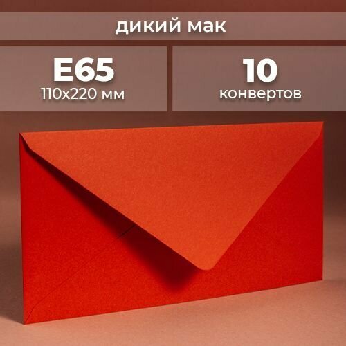Набор конвертов для денег Е65 (110х220мм)/ Конверты подарочные из дизайнерской бумаги ярко красный 10 шт.