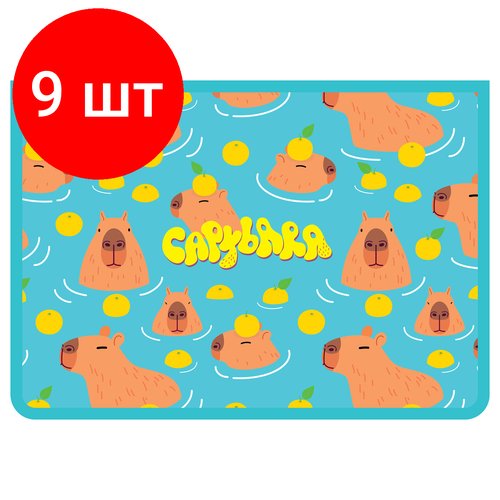 Комплект 9 шт, Папка для тетрадей 1 отделение, А4, ArtSpace 'Capybara', ламинированный картон, фольга, на молнии