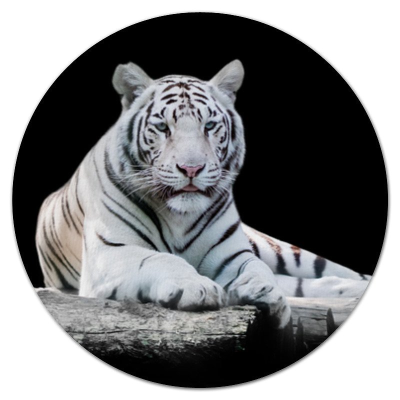 Printio Коврик для мышки (круглый) Белый тигр