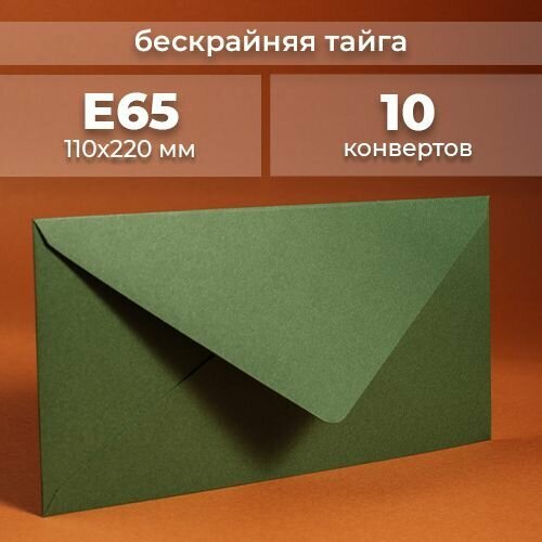 Набор конвертов для денег Е65 (110х220мм)/ Конверты подарочные из дизайнерской бумаги зеленый 10 шт.