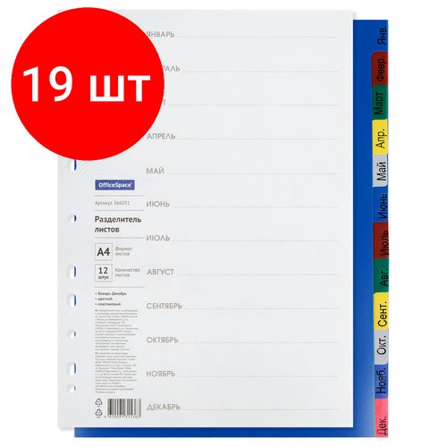 Комплект 19 шт, Разделитель листов OfficeSpace А4, 12 листов, Январь-Декабрь, цветной, пластиковый